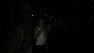 "Ночь, улица, фонарь, аптека... " А. Блок