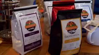 Guarding the Future of Coffee | A Journey Through the World's Most Diverse Arabica Collection