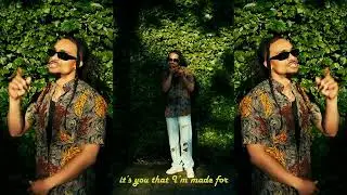 Amadi Blue - NO GO LIE  (Visualizer)