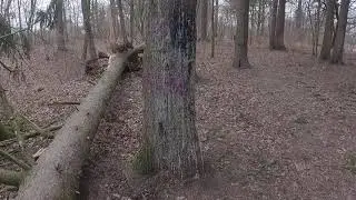 Жду Конец Ютуба и время которое пробудит....