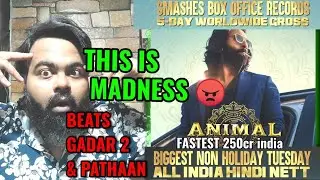 ANIMAL BOX OFFICE COLLECTION DAY 5 | INDIA | WORLDWIDE | RANBIR KAPOOR | BLOCKBUSTER