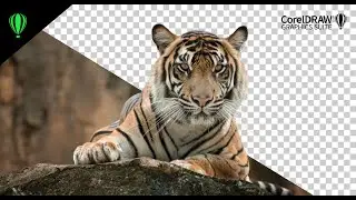 CorelDRAW tutorial- How to remove background super fast using AI - gamechanger is here