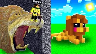 HO IMBROGLIATO ZEYXON NELLA GARA DI COSTRUZIONE DI MINECRAFT