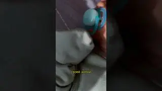 Новорожденный