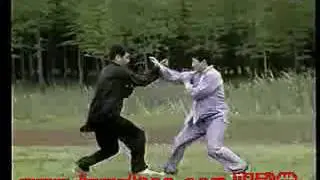秘传心意六合拳 教学 Mi Chuan Xinyi Liuhe Quan 13/13