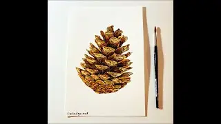Painting a Pinecone in Watercolor- Windy Shih