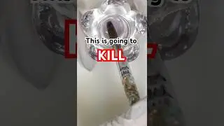 DON’T RUIN Your Acrylic Brush! ❌ Here is How