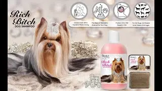 The Blissful Dog Rich Bitch Dog Shampoo for Your Demanding Diva Dog