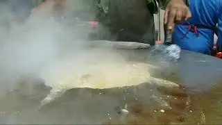 Taka Tak | Lahori Taka Tak |  Gurday Kapooray | Fry Bheja Sheep fried Brains