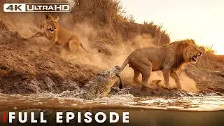 World's Deadliest: When Predators Become Prey | Nature Animal Documentary