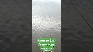 Рыбалка на флэт фидер | поклёвка карася