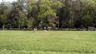 Ольга и ка де бо Барс. Фризби-Фристайл.
