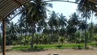 Village life In Krishnagiri Tamil nadu India.