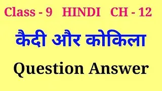 kaidi aur kokila question answer