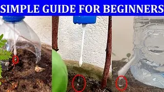 Smart Plant Watering Made Easy: 3 DIY Drip Irrigation Methods with a Water Bottle & Cotton Stick