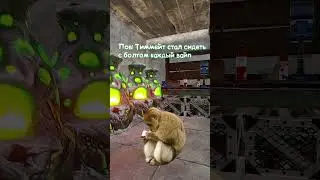 Позвал тиммейта в Раст/Rust 