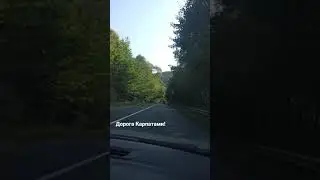 Гори Карпати! 