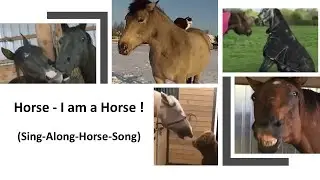 Horse - I am a Horse
