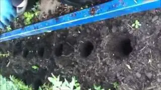 Plantmachine / Pflanzmaschine