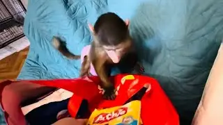 Мы еле смогли донести подарки нашим малышам, которые нам передали подписчики из Ростова!