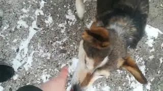 если не наберется ...