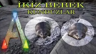 İkiz Bebek Kunduz ( Castoroides ) | Ark Survival Evolved Türkçe | The Center 11