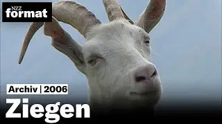 Meckerer, die man liebt: Ziegen (2006)