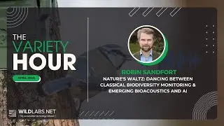 Robin Sandfort: Balancing classical biodiversity monitoring with emerging bioacoustics and AI