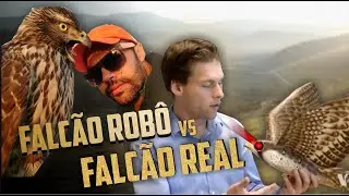 Falcão robô vs Falcão real. Qual é o mais eficiente? | Dorival Falcoaria e Voo Livre