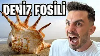OKYANUSUN KENARINDA FOSİL TOPLADIM!!