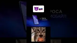 Айфон или Рфон?) #россия #нашараша #держава #америка  #cat #кот #мем #айфон #shortvideo #like