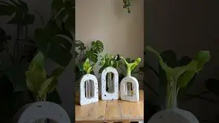 DIY glass glass reuse into plant stand #plantcuttings #plantstand #diy #indoorplants