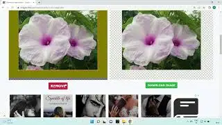 Remove image border - imageonline.co
