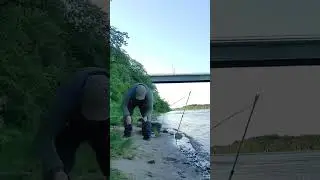 Волховская сырть летом.
