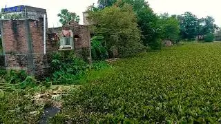 My village Short Video hmrr