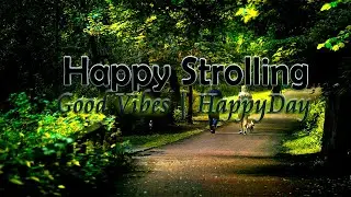 Happy Strolling🎶 ¦ 