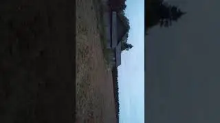 Снимал деревню где давно не был и вдруг пролетелочто то. Или это просто сверчок.