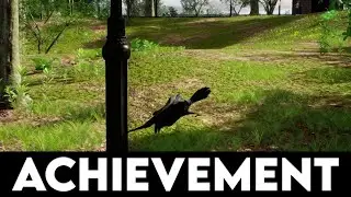 BIRD SIMULATOR 24 - Hells Bell - Achievement Guide
