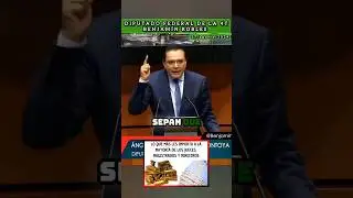 DIPUTADO DEL PT DESTRUYÓ A LOS JUECES Y MAGISTRADOS DEL PODER JUDICIAL!