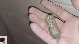 четки из эбонита🧙‍♂️