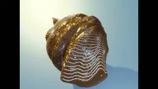 Blender animation
