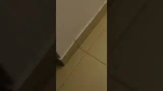 Что бывает когда зашел не в ту дверь... 