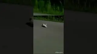 12 часов