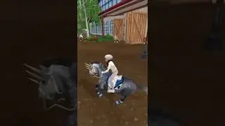 Шиншиллы мой дом. 🦋🤍 #sso #ssoedits #starstable #лошади #клуб