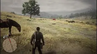 RDO Funny moments*