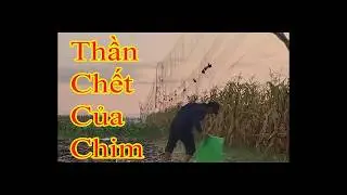 Lưới tàng hình đa năng, thần chết của muôn loài chim