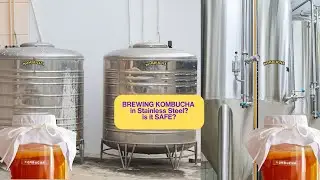 The Stainless Steel Kombucha TRUTH | 304 versus 316L | What They Don't Tell You