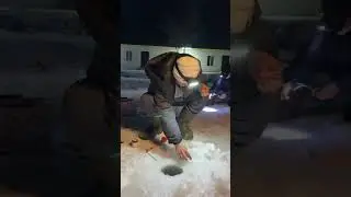Рыбалка на озере Алтын балык