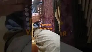 Гармонь Устюгская