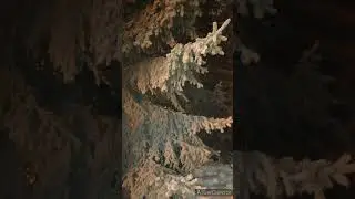 ФОТОЗАРИСОВКА 